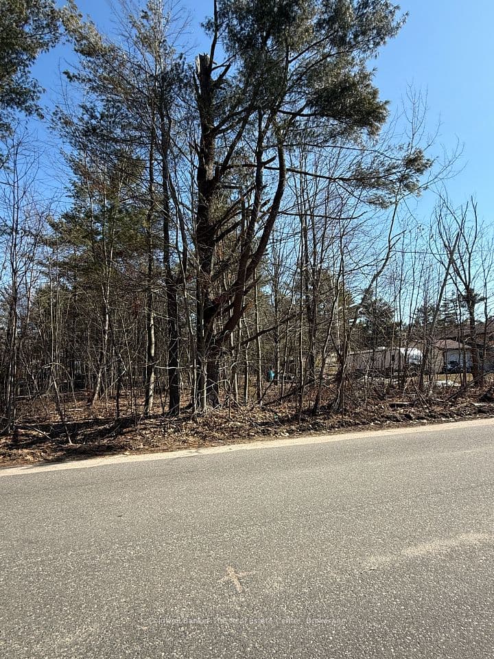 Vacant Lot Pinedale Road, Gravenhurst, ON P1P 1L5 – photo 3