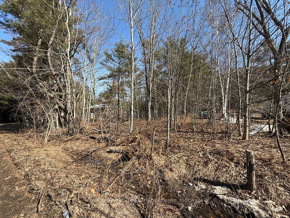 Vacant Lot Pinedale Road, Gravenhurst, ON P1P 1L5 – main photo