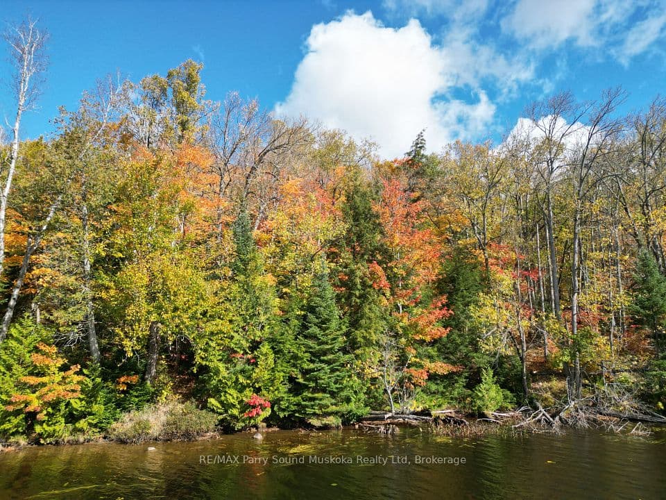353C BALSAM CREEK Road, Parry Sound Remote Area, ON P0H 1S0 – photo 2