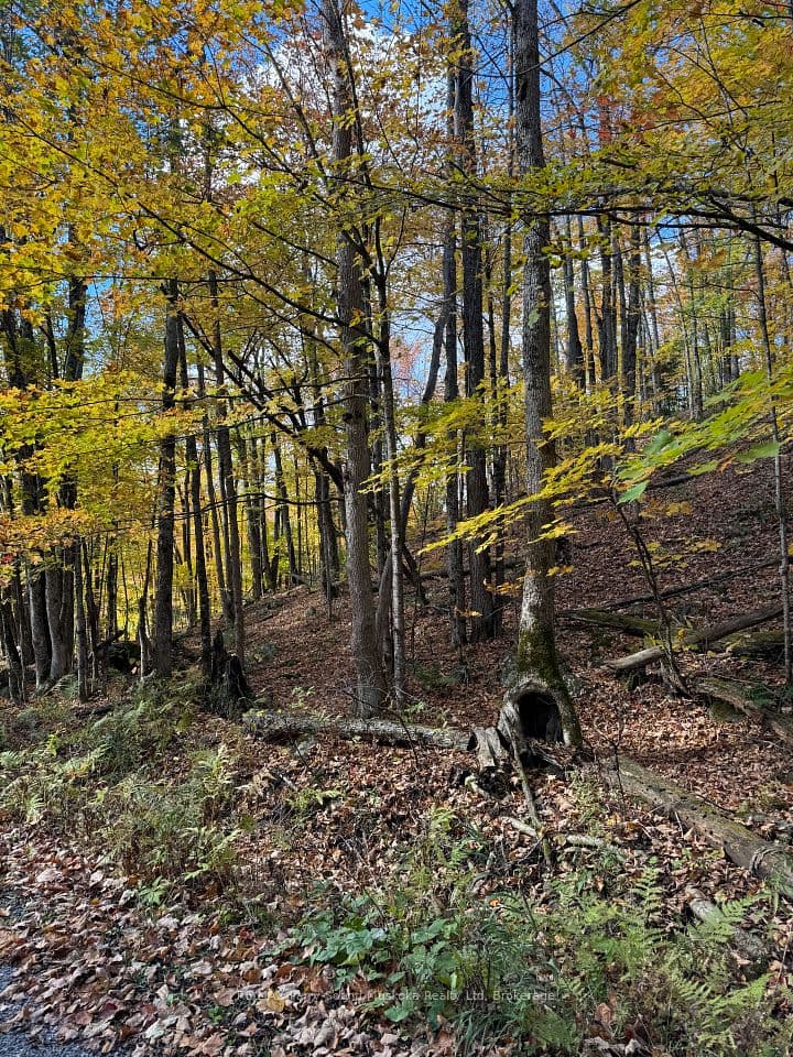 353C BALSAM CREEK Road, Parry Sound Remote Area, ON P0H 1S0 – main photo
