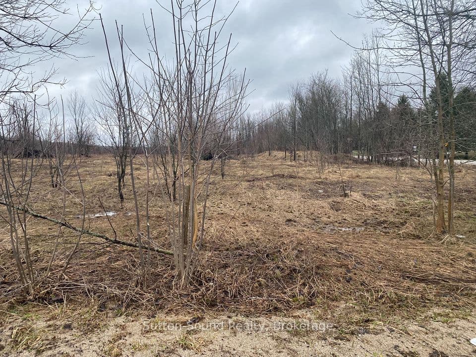 n/a Division/Cruickshank Street, Georgian Bluffs, ON N0H 2K0 – photo 3