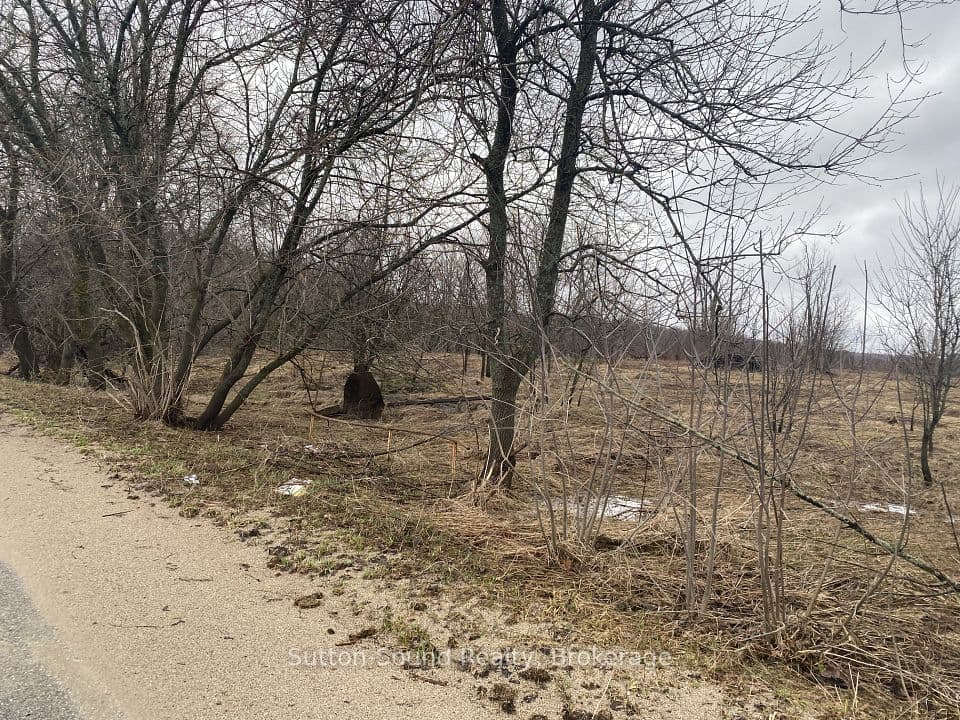 n/a Division/Cruickshank Street, Georgian Bluffs, ON N0H 2K0 – photo 2