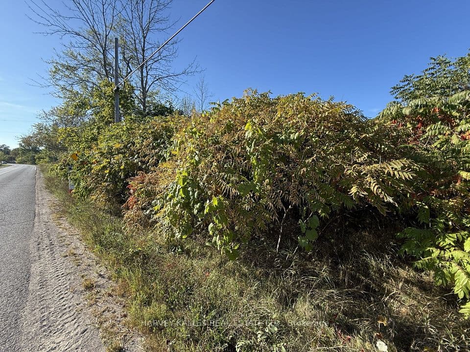Beside 2885 County Road 10, Prince Edward County, ON K0K 2P0 – photo 3