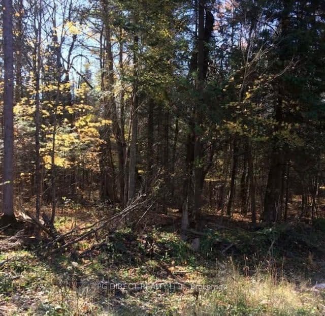 1301 Upper Spruce Hedge Road, Greater Madawaska, ON K0J 1G0 – photo 3