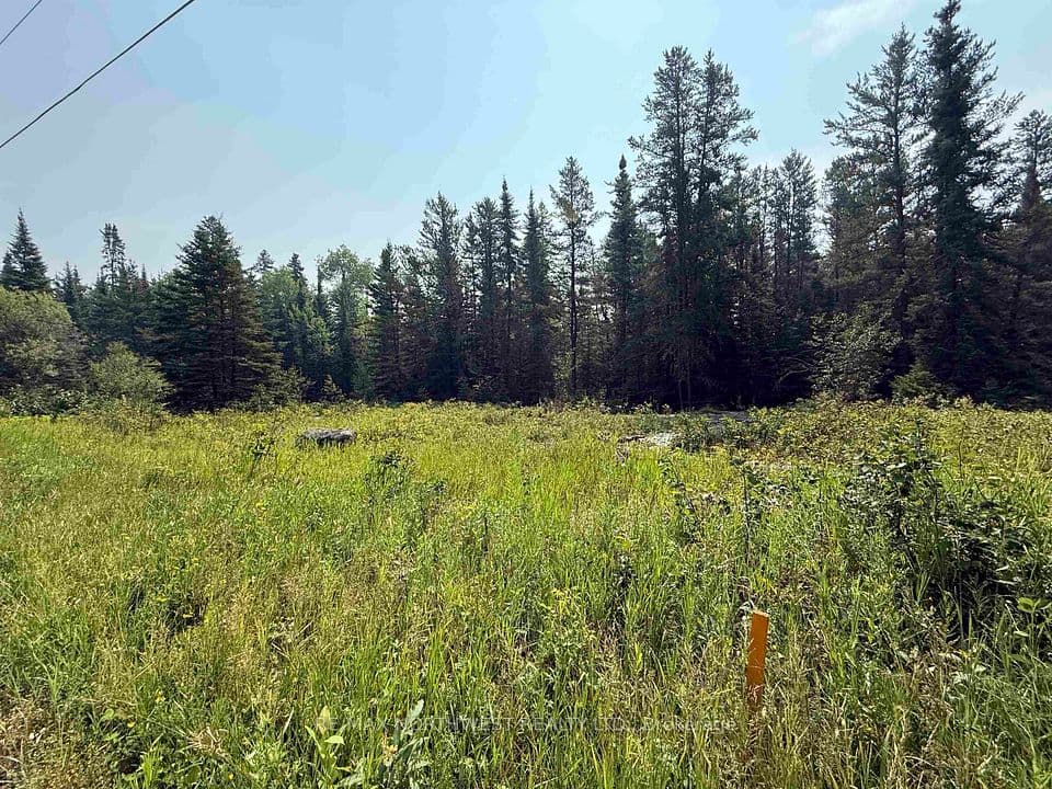 Lot 3 Kinger Road, Kenora, ON P9N 0E4 – photo 2