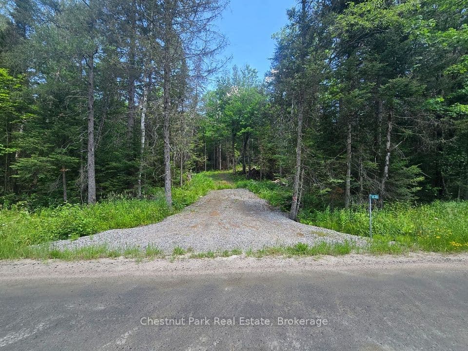 1630 Midlothian Road, Ryerson, ON P0A 1C0 – photo 3
