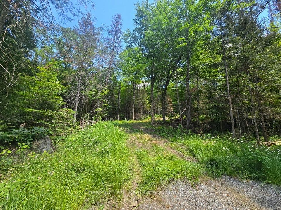 1630 Midlothian Road, Ryerson, ON P0A 1C0 – photo 2