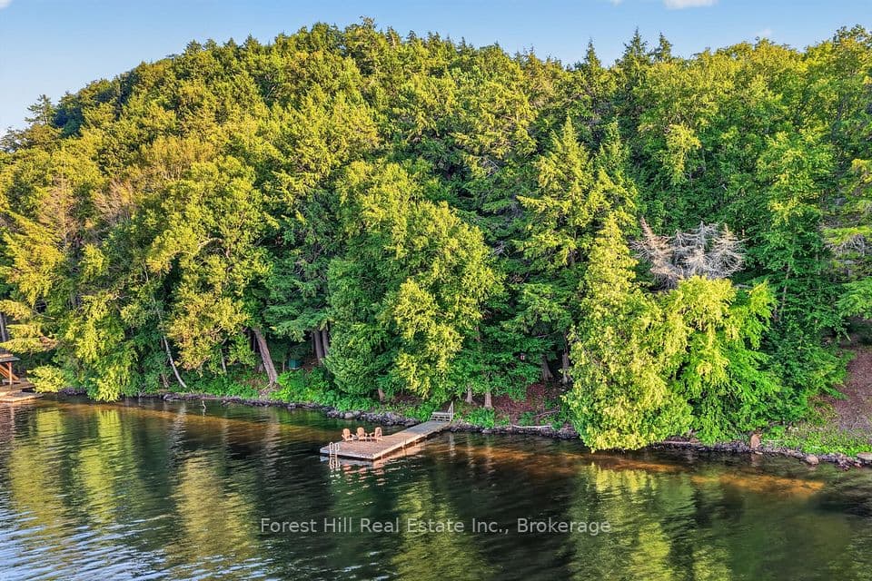 1110 Joseph Tapley Road, Lake of Bays, ON P0A 1H0 – main photo