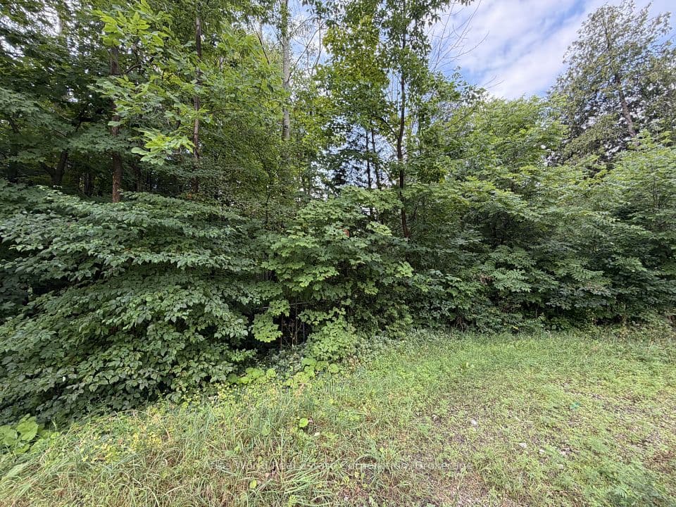 23 Front Street, South Bruce Peninsula, ON N0H 2T0 – photo 2