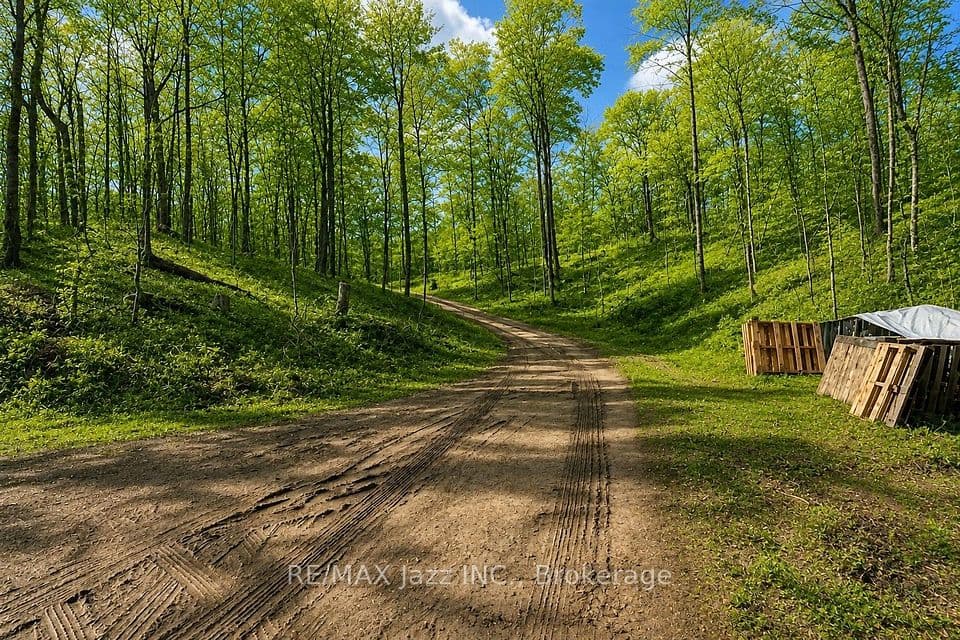 1091 Crystal Lake Road, Trent Lakes, ON K0M 2A0 – main photo