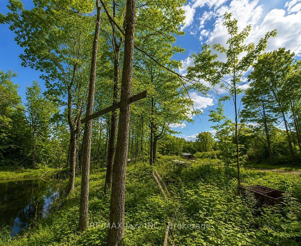 1091A Crystal Lake Road, Trent Lakes, ON K0M 3A0 – photo 3