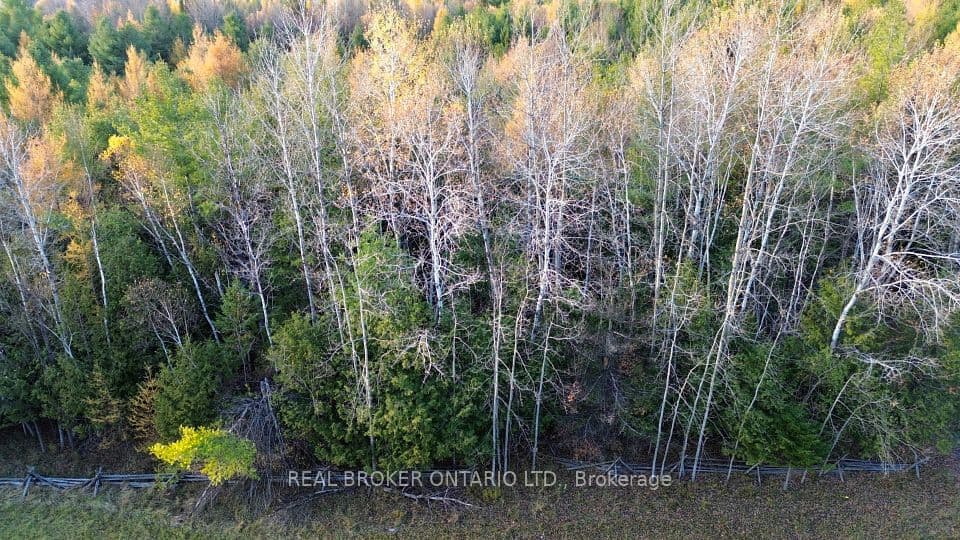 Lot 3 Watsons Corners Road, Lanark Highlands, ON K0G 1K0 – photo 3