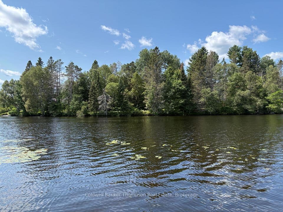 109 Patrick Street, Magnetawan, ON P0A 1P0 – photo 3
