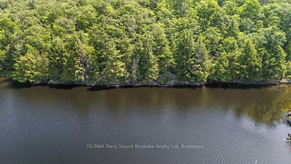 38 Fun Cottage Lane, McDougall, ON P2A 2W7 – photo 2