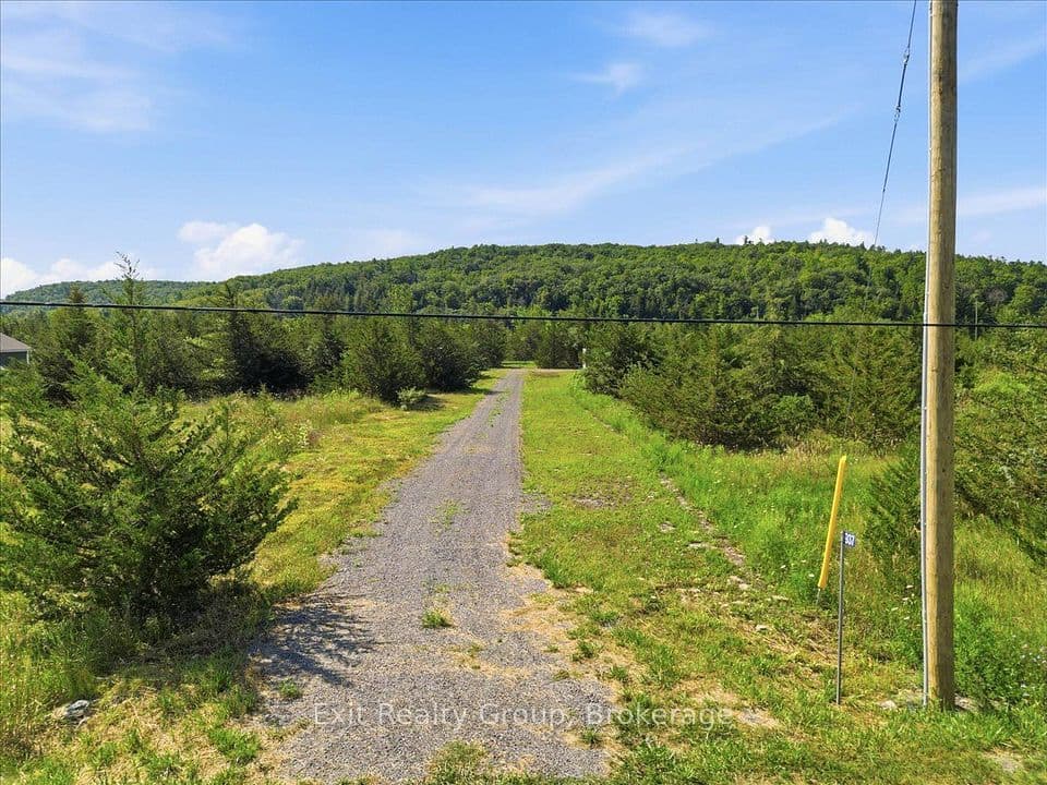 937 Rosebush Road, Quinte West, ON K0K 2C0 – photo 3