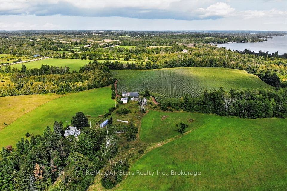 37 Kelly's Bay Road, Kawartha Lakes, ON K0M 1N0 – photo 3