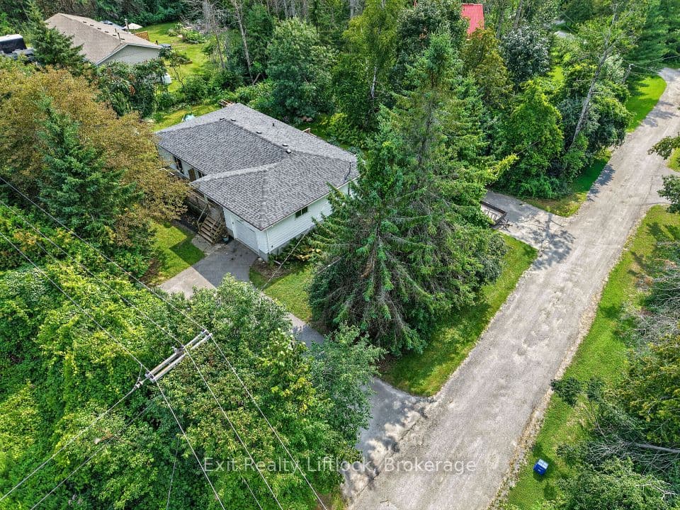 3 Basswood Street, Kawartha Lakes, ON K0L 2W0 – photo 3