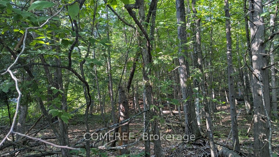 4853 Opeongo Road, Constance Bay - Dunrobin - Kilmaurs - Woodlawn, ON K0A 3M0 – main photo