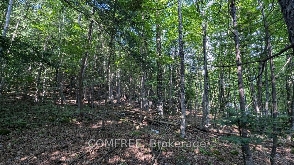 4853 Opeongo Road, Constance Bay - Dunrobin - Kilmaurs - Woodlawn, ON K0A 3M0 – photo 3