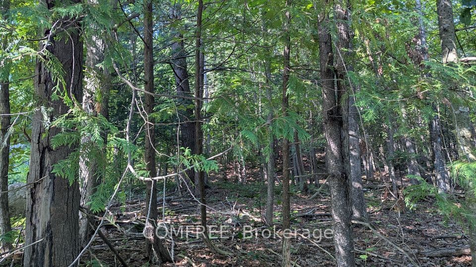 4853 Opeongo Road, Constance Bay - Dunrobin - Kilmaurs - Woodlawn, ON K0A 3M0 – photo 2