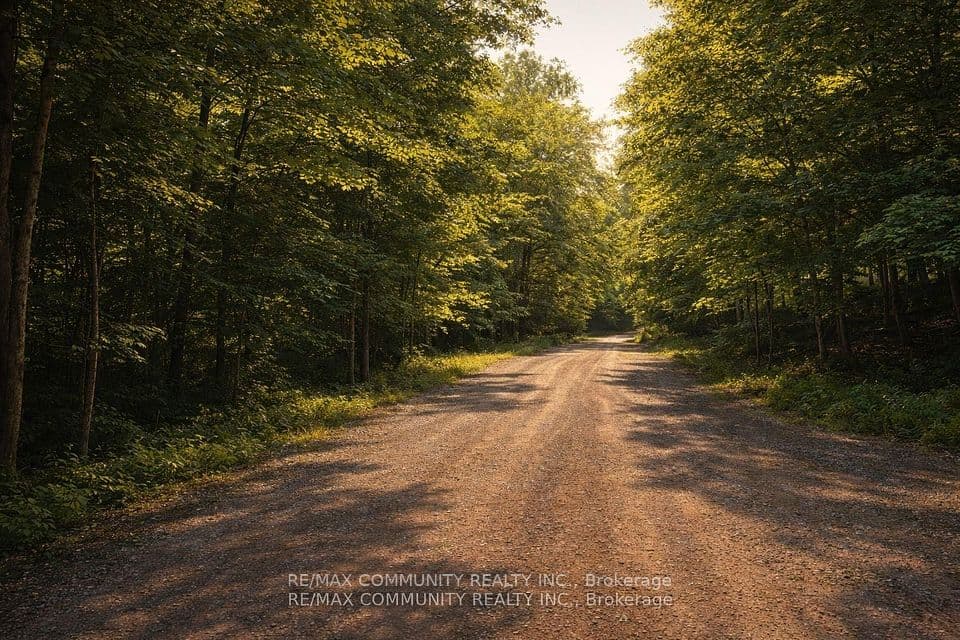 12 CON Concession, Highlands East, ON K0L 3C0 – main photo