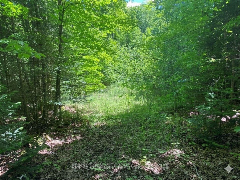 12 CON Concession, Highlands East, ON K0L 3C0 – photo 3