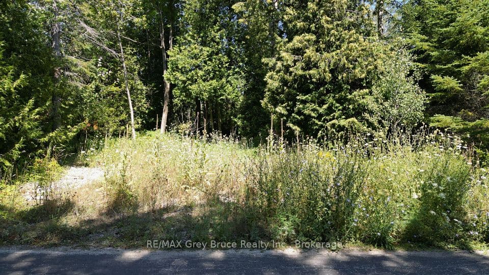 55 Whippoorwill Road, Northern Bruce Peninsula, ON N0H 1W0 – photo 2