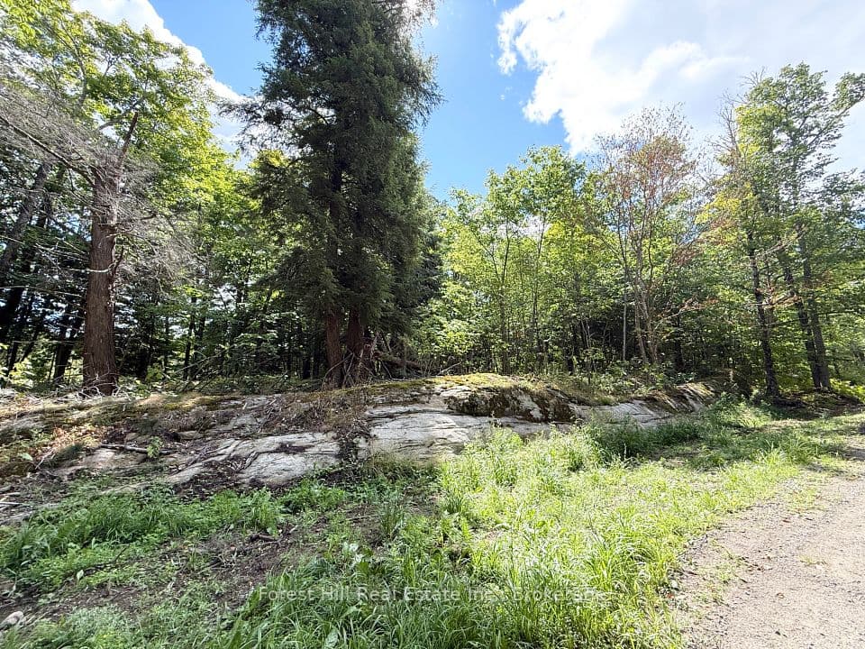 10415 522 Highway, Parry Sound Remote Area, ON P0H 1A0 – photo 3