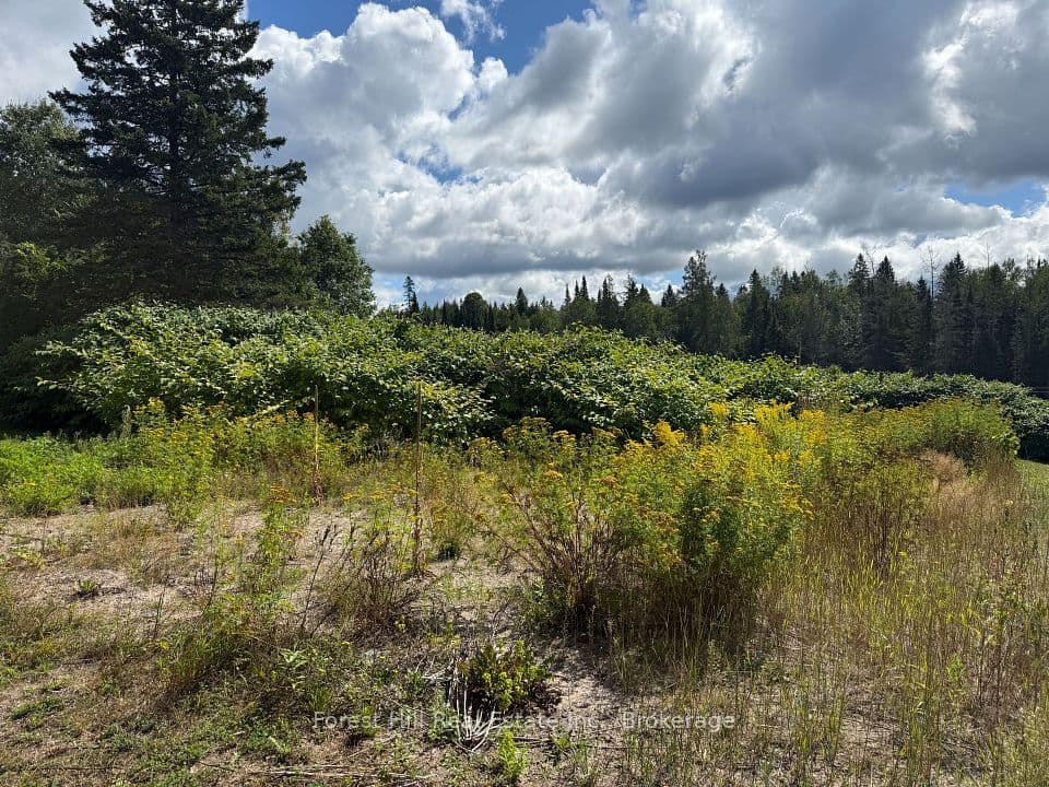 14 Rupert Road, Parry Sound Remote Area, ON P0H 1A0 – photo 3