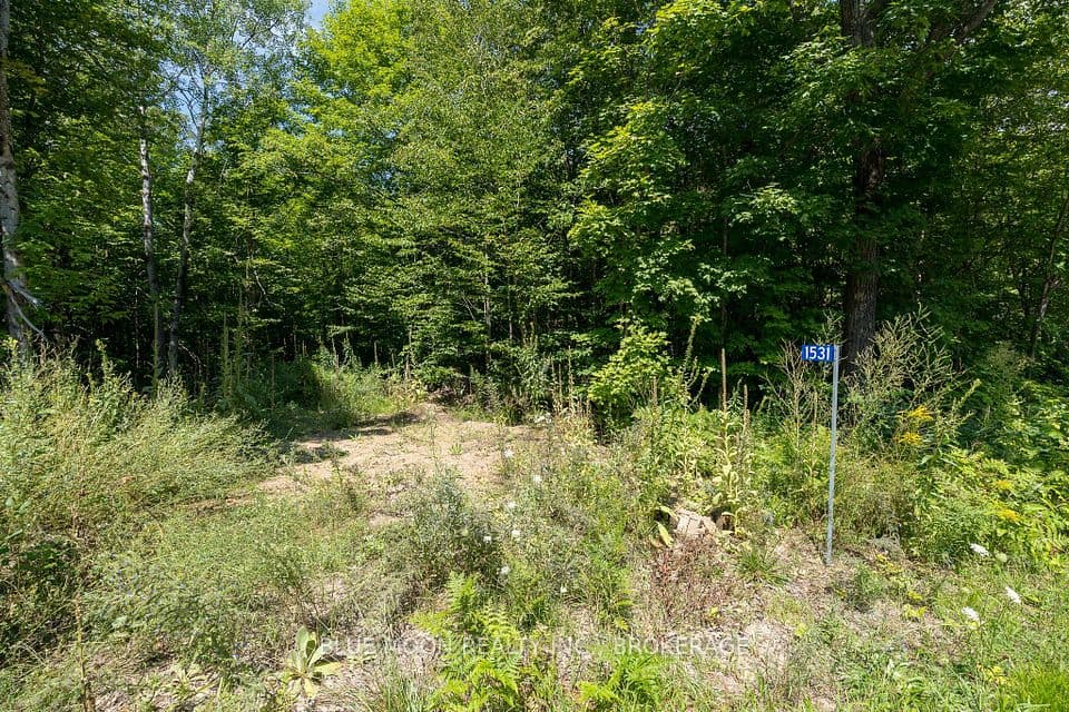 1531 Myers Cave Road, Frontenac, ON K0H 1B0 – main photo