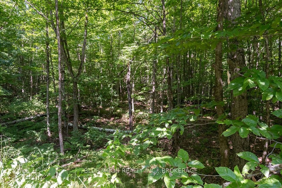 1531 Myers Cave Road, Frontenac, ON K0H 1B0 – photo 3