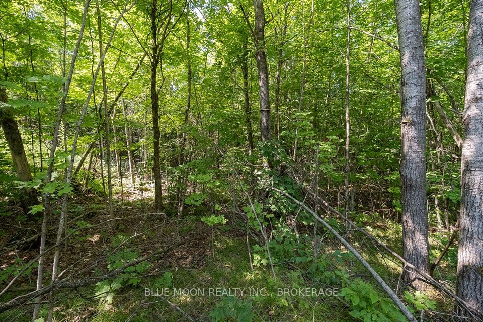 1531 Myers Cave Road, Frontenac, ON K0H 1B0 – photo 2