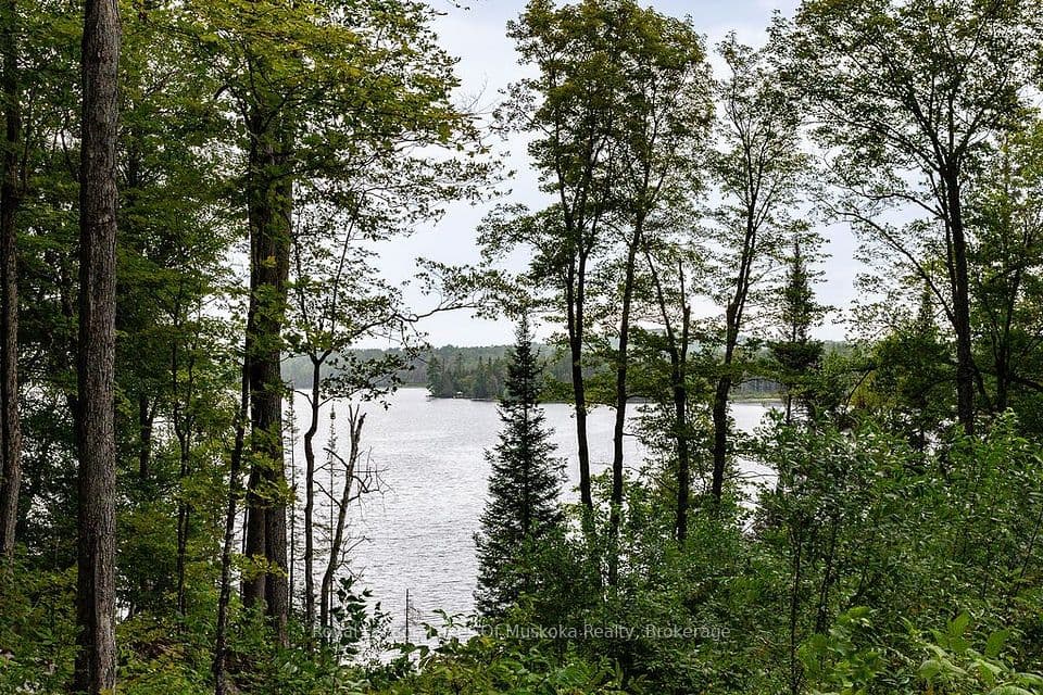 790 Garage Road F, Armour, ON P0A 1C0 – photo 2