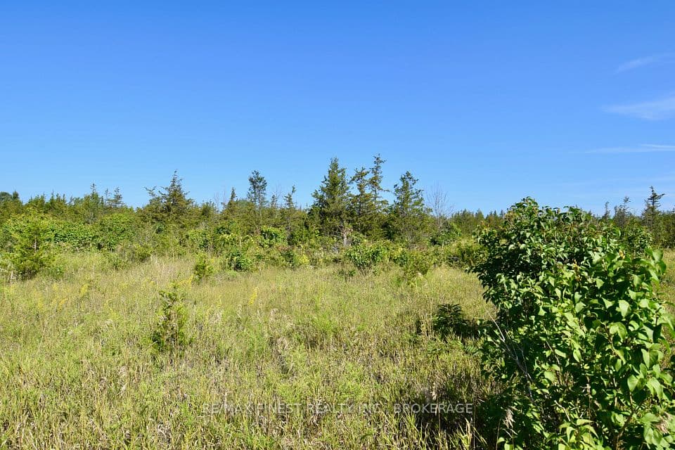 Lot 16 Westplain Road, Greater Napanee, ON K0K 2W0 – photo 3