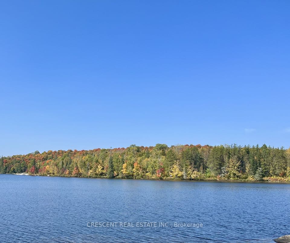 3B Jack's Lake Road, Parry Sound Remote Area, ON P0H 1N0 – photo 3