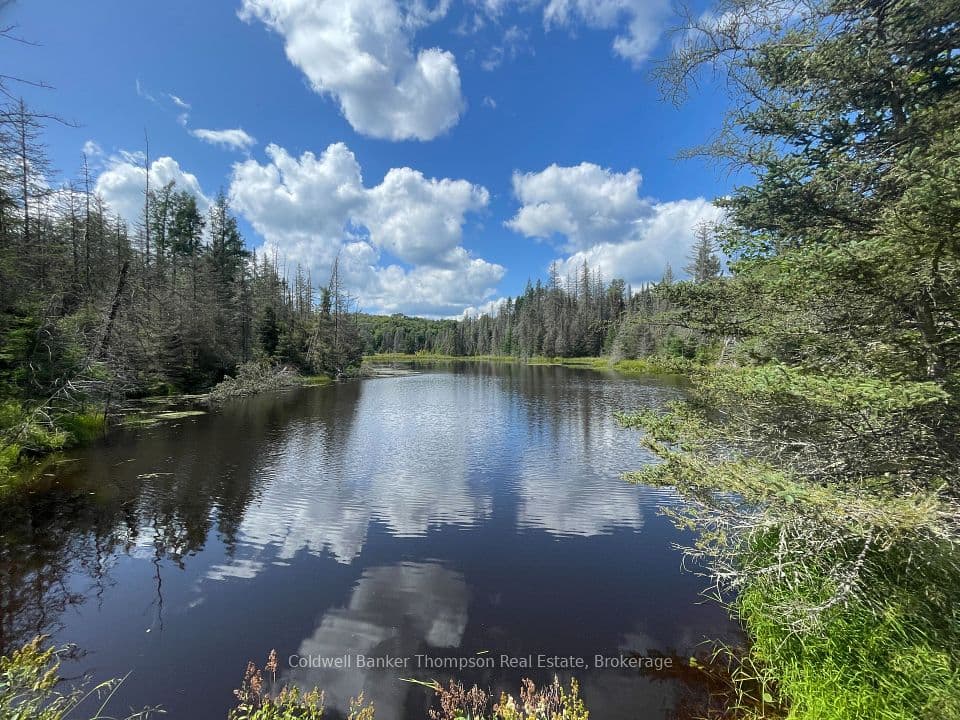 458 Leighton Road, Machar, ON P0A 1X0 – photo 3