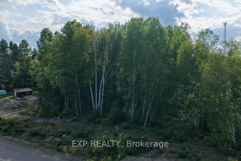 Lot 14 Birchview Drive, Madawaska Valley, ON K0J 1B0 – photo 3