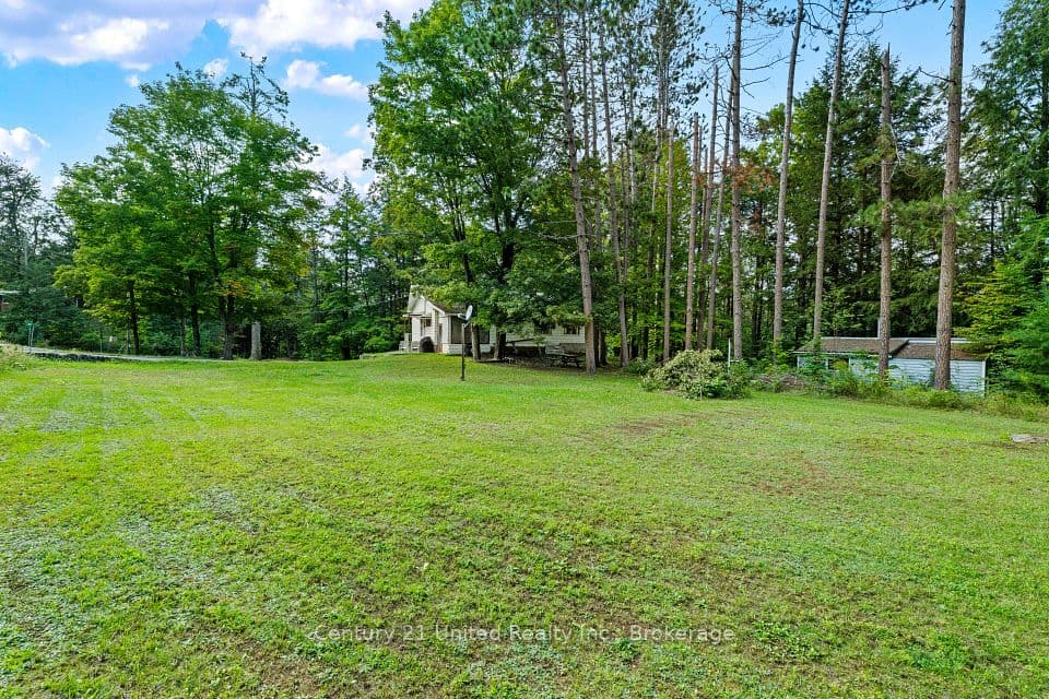49 Mcfadden Road, North Kawartha, ON K0L 1A0 – photo 3