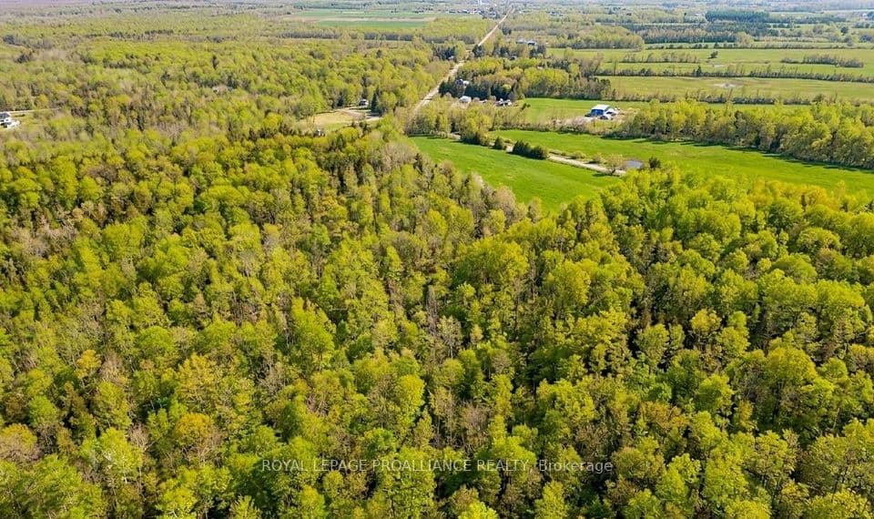 00 Knapp Drive, Augusta, ON K6V 5T2 – photo 3