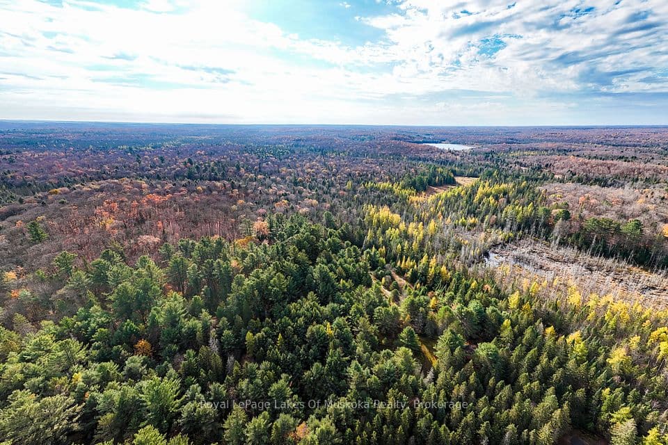 267 & 321 Cardwell Lake Road, Huntsville, ON P0B 1M0 – photo 3