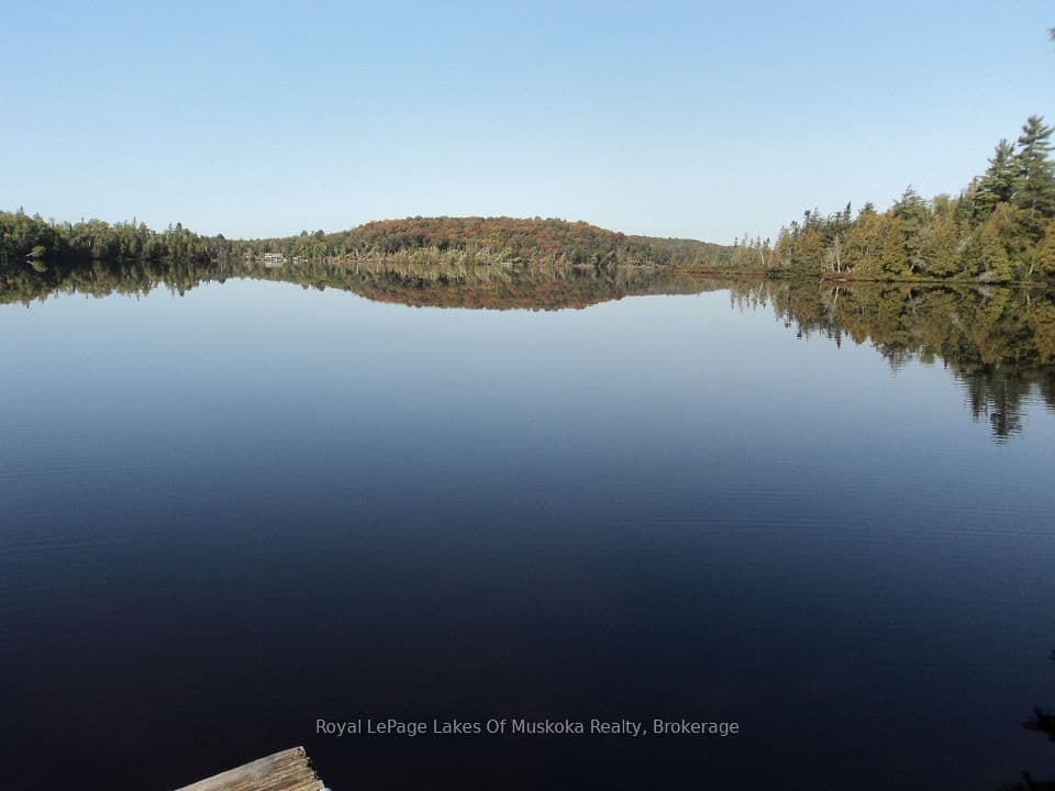 1071 Dotty Lake Road, Lake of Bays, ON P0A 1H0 – main photo