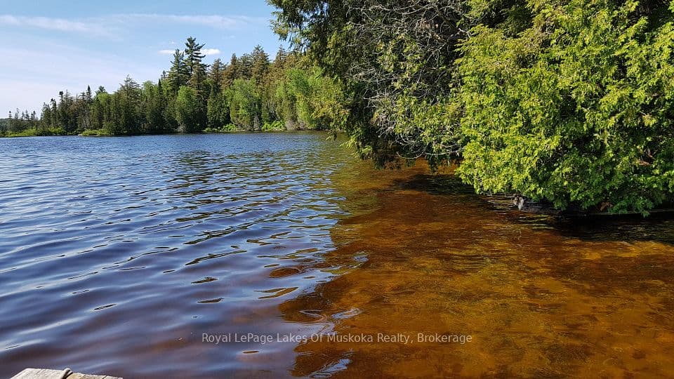 1071 Dotty Lake Road, Lake of Bays, ON P0A 1H0 – photo 2