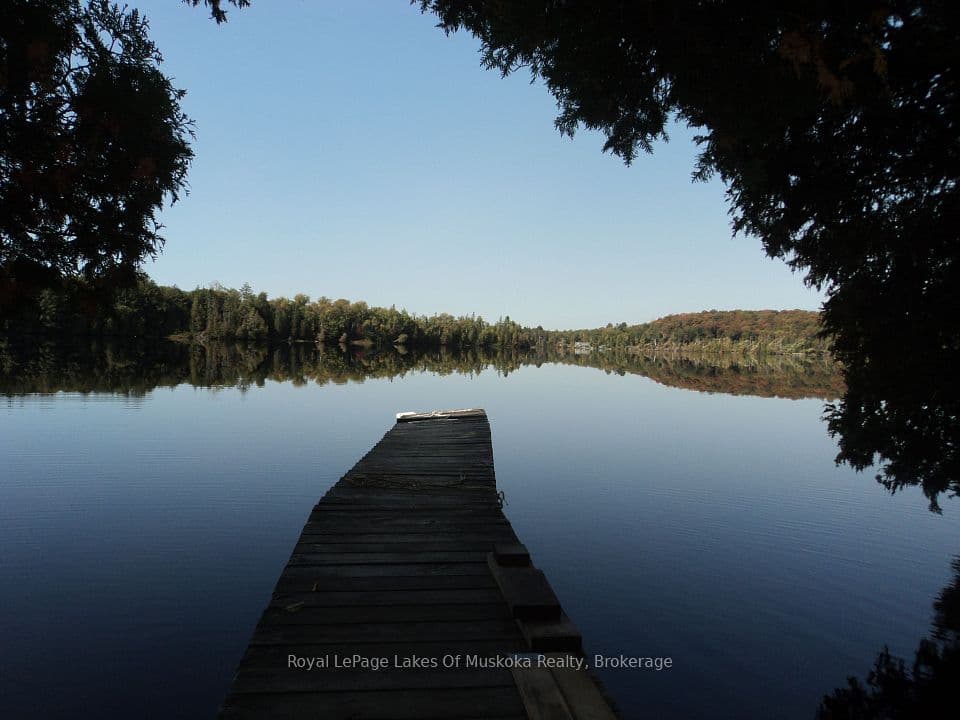 1071 Dotty Lake Road, Lake of Bays, ON P0A 1H0 – photo 3