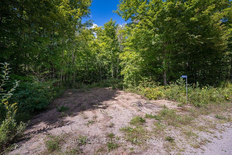 0 Myers Cave Road, North Frontenac, ON K0H 1B0 – photo 2