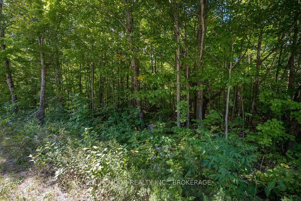 0 Myers Cave Road, North Frontenac, ON K0H 1B0 – photo 3