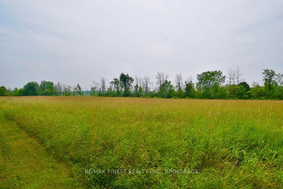 1654 Bethel Road, Stone Mills, ON K0K 3N0 – photo 3