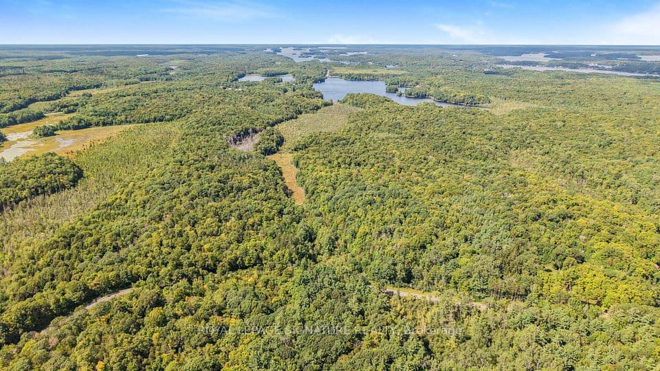 LT 19-20 CON 1 MEDORA, Muskoka Lakes, ON P0B 1J0 – photo 3