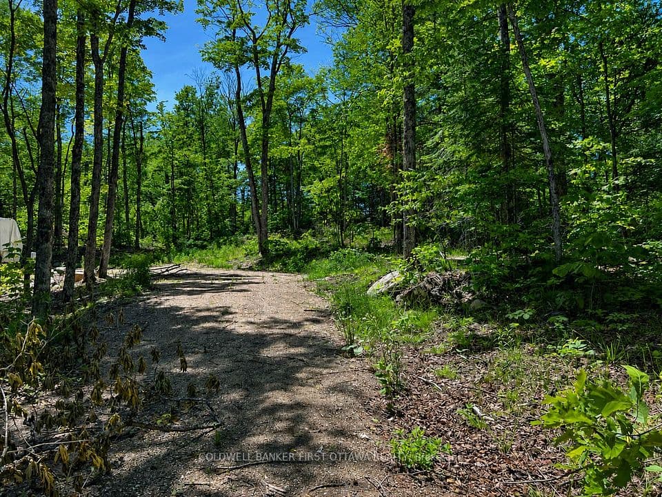 0 Buckshot Lake Road, Addington Highlands, ON K0H 1K0 – photo 2