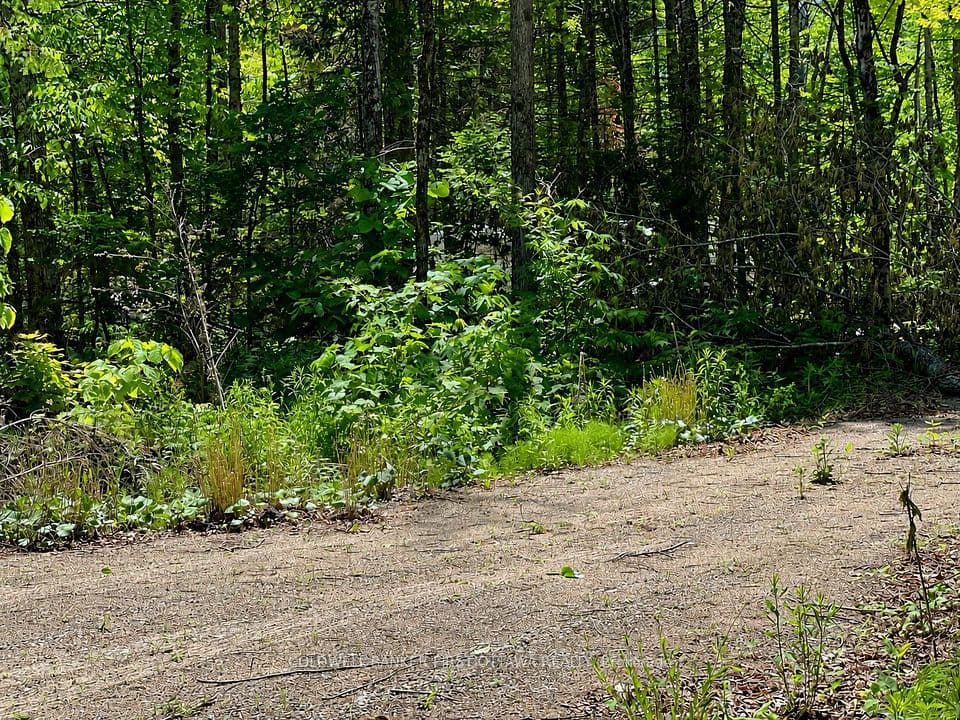 0 Buckshot Lake Road, Addington Highlands, ON K0H 1K0 – photo 3