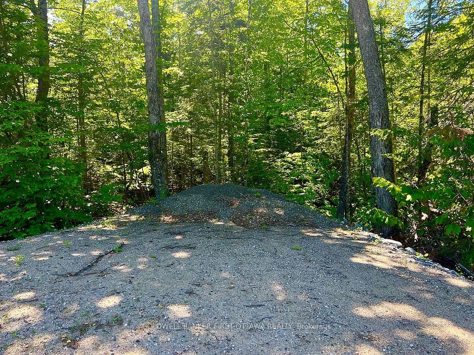 00 Buckshot Lake Road, Addington Highlands, ON K0H 1K0 – photo 3